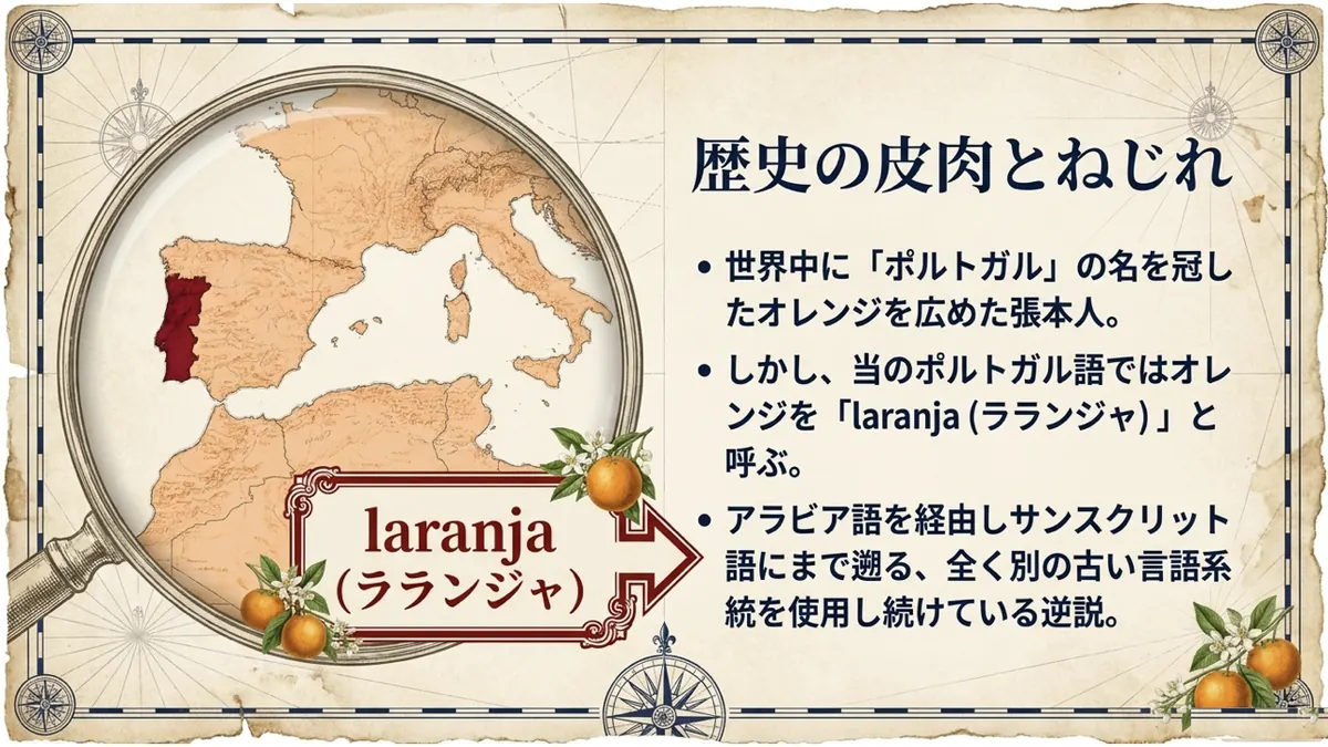 虫眼鏡でポルトガルの地図を拡大し「laranja(ラランジャ)」という単語を示すとともに、世界にポルトガルの名を広めた張本人が自国では別の古い系統の言葉を使い続けているという「歴史の皮肉とねじれ」を示した図