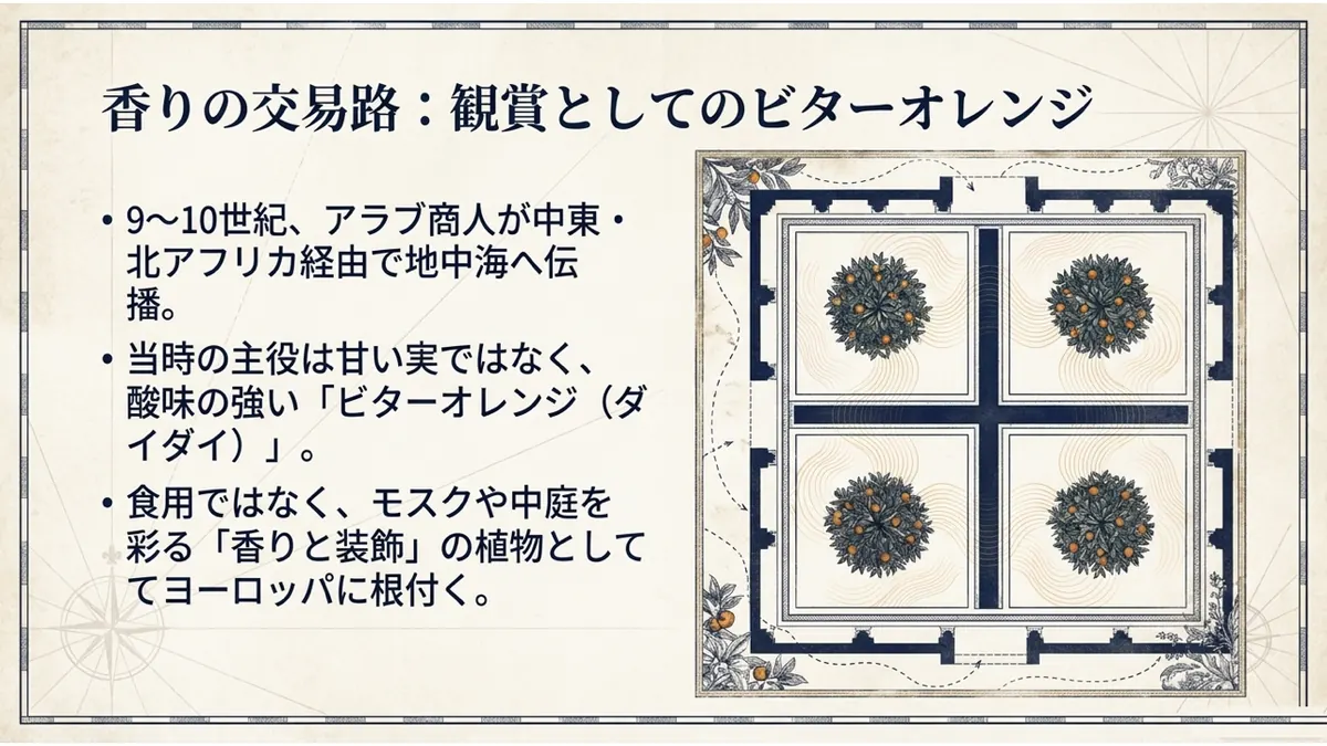 中庭を4区画に分け、それぞれにビターオレンジの木を植えたイスラム様式の庭園を俯瞰したイラストとともに、9〜10世紀のアラブ商人による地中海への伝播、観賞用・香料用としてヨーロッパに根付いたことを示した図