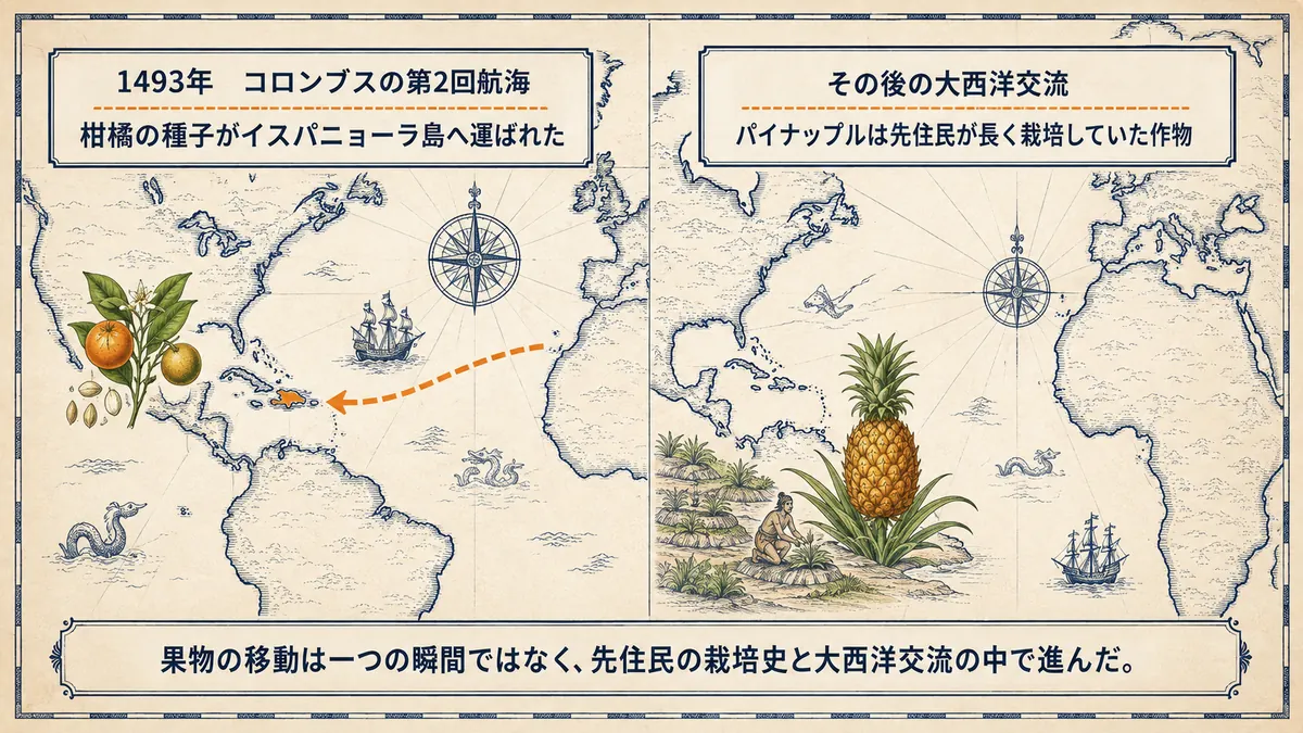 1493年の第2回航海で柑橘の種子がイスパニョーラ島へ運ばれたことと、パイナップルには先住民による長い栽培史があることを分けて示した地図