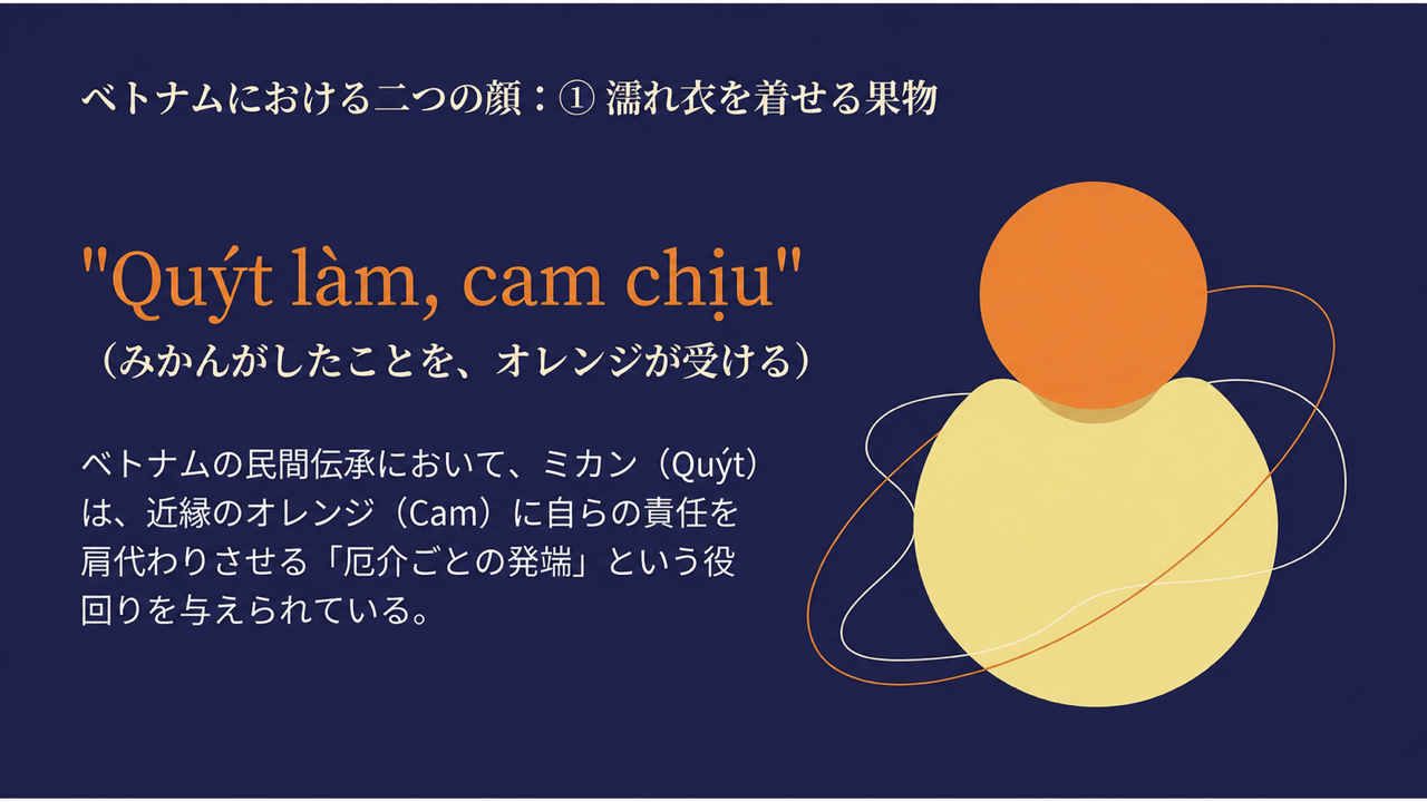 オレンジとミカンを象徴する2つの円が絡み合う図とともに、ベトナムのことわざ「"Quýt làm, cam chịu"(みかんがしたことを、オレンジが受ける)」を大きく掲げ、ミカンが近縁のオレンジに責任を肩代わりさせる「厄介ごとの発端」という役回りを解説した「ベトナムにおける二つの顔:①濡れ衣を着せる果物」の図