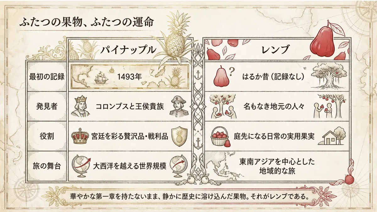 パイナップルとレンブを「最初の記録」「発見者」「役割」「旅の舞台」の4項目で対比した図。パイナップルは1493年・コロンブスと王侯貴族・宮廷を彩る贅沢品・大西洋を越える世界規模、レンブは明確な最初の記録なし・名もなき地元の人々・庭先になる日常の実用果実・東南アジアを中心とした地域的な旅