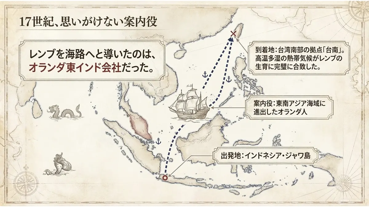 古地図の上に、インドネシア・ジャワ島を出発地、台湾南部の台南を到着地として、オランダ東インド会社の帆船がたどった航路を破線で描いた図