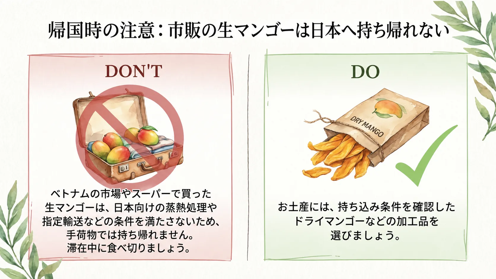 ベトナムの市場やスーパーで買った生マンゴーは日本へ持ち帰れず、土産には条件を確認した加工品を選ぶことを示す図