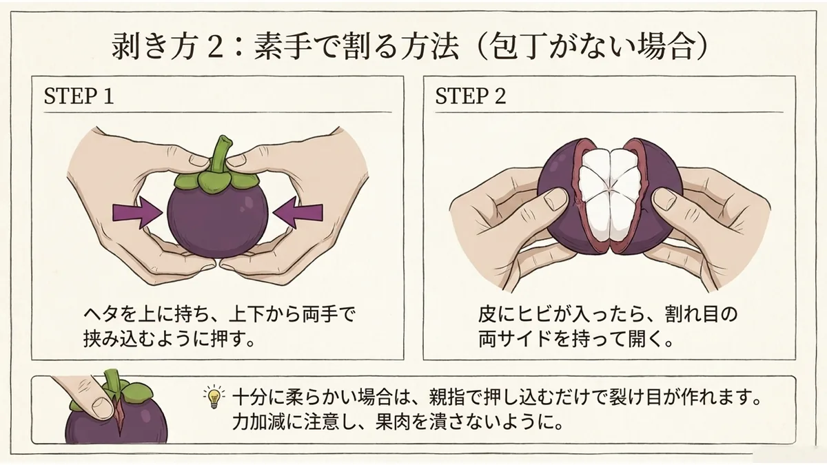 マンゴスチンを両手でゆっくり押し、果皮の割れ目から開く手順