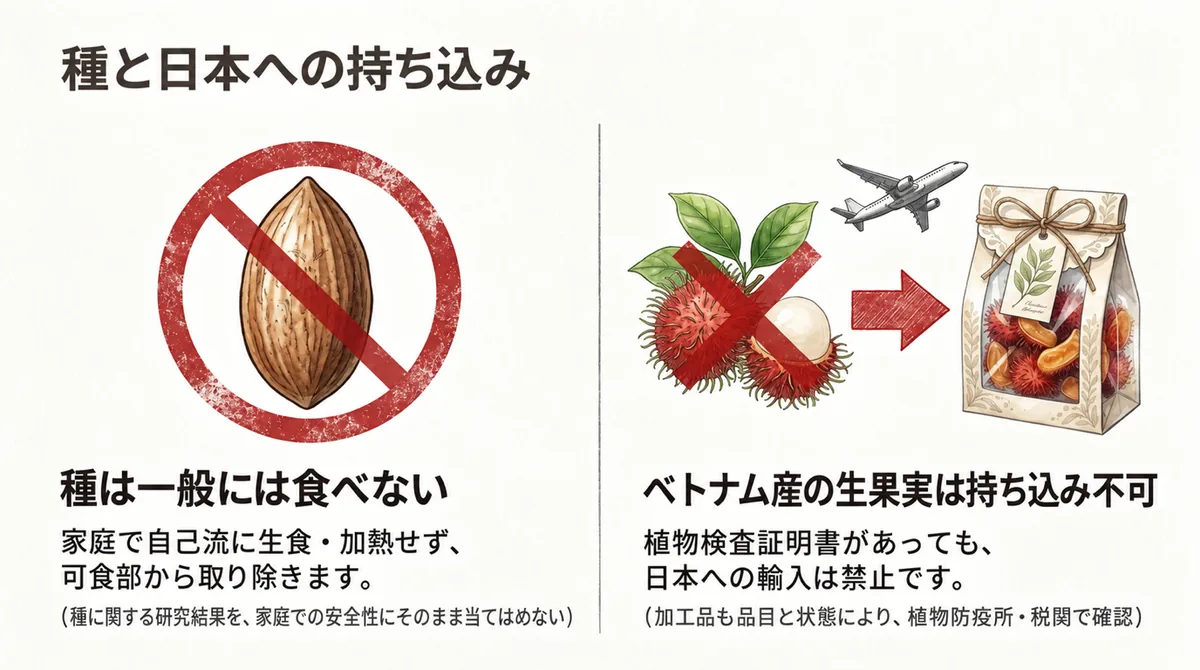 ランブータンの種を一般には食べないことと、ベトナム産生果実の日本持ち込み禁止を示す図