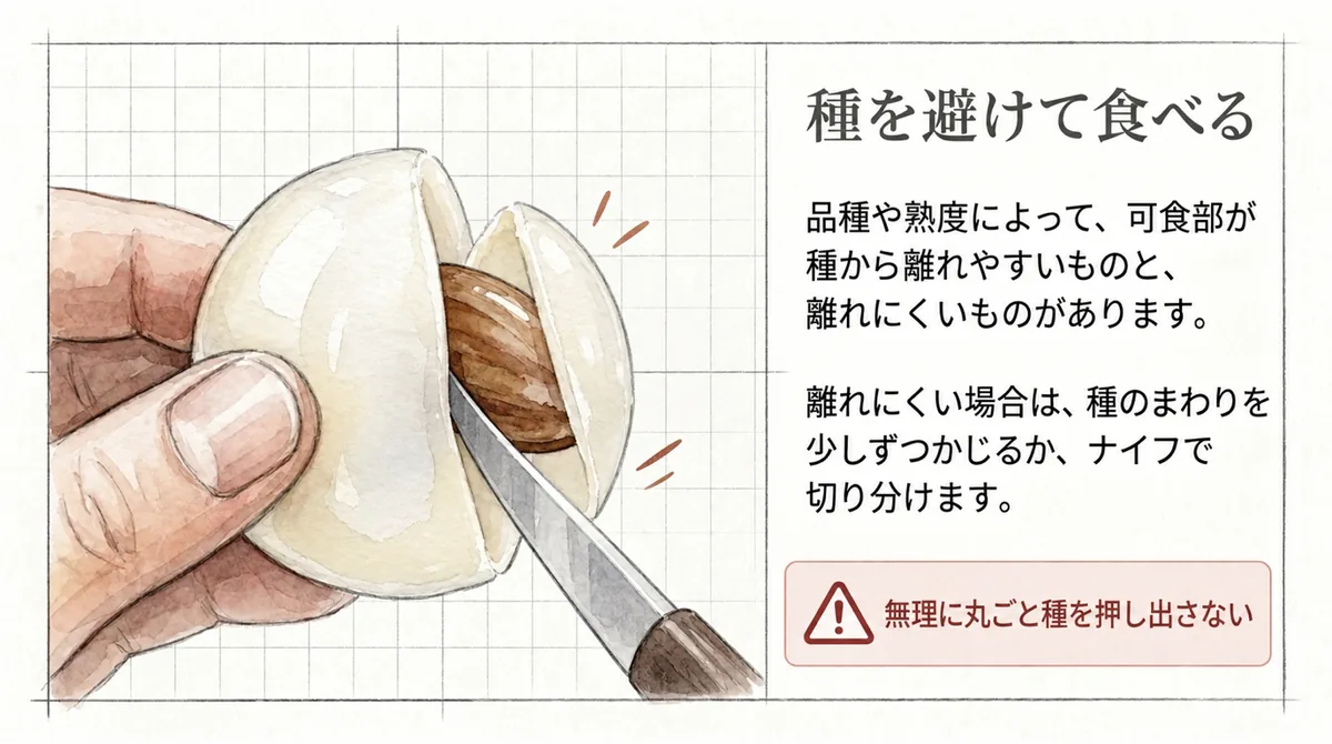 ランブータンの種を避け、周囲の可食部を切り分ける方法