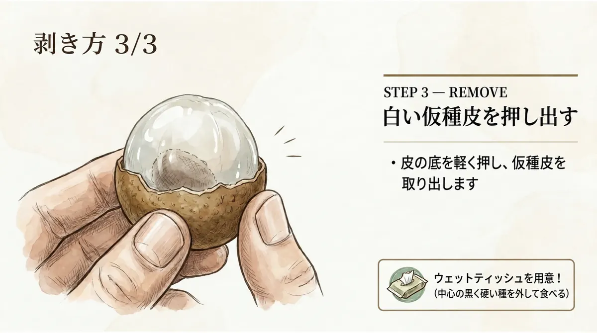 皮から白い仮種皮を押し出す手順