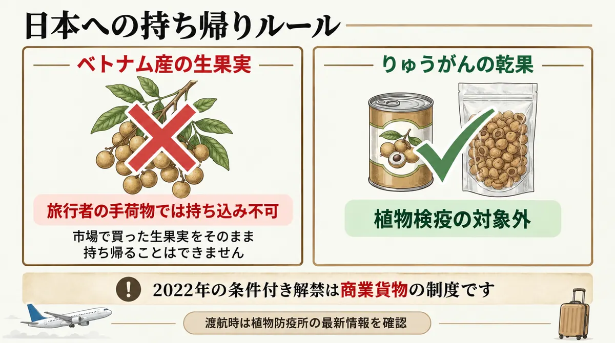 生のロンガンは持ち込めず、乾果は植物検疫対象外であることを示す図