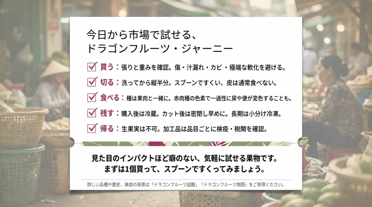 ドラゴンフルーツの買い方、切り方、食べ方、保存、日本への持ち帰りをまとめた図