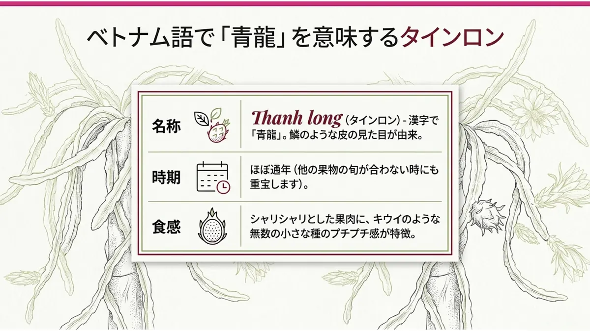 ベトナム語で「青龍」を意味するタインロン。名称: Thanh long(漢字で青龍、鱗のような皮の見た目が由来)/時期: ほぼ通年/食感: シャリシャリとした果肉にキウイのような無数の小さな種のプチプチ感