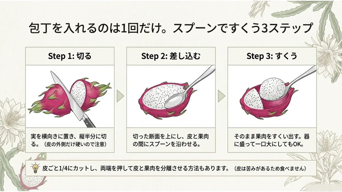 包丁を入れるのは1回だけ。スプーンですくう3ステップ。Step1切る(実を横向きに置き縦半分に切る)→Step2差し込む(切った断面を上にし皮と果肉の間にスプーンを沿わせる)→Step3すくう(そのまま果肉をすくい出す)