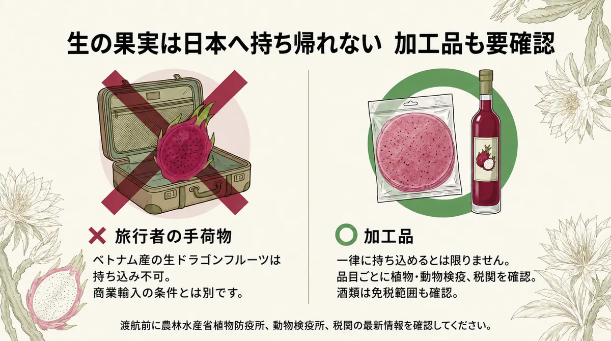 ベトナム産ドラゴンフルーツの生果実は日本に持ち込めず、加工品も条件確認が必要と示す図