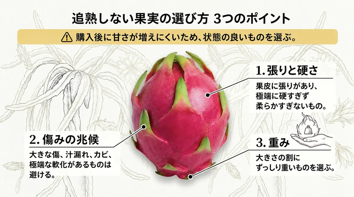 ドラゴンフルーツの張りと硬さ、傷みの兆候、重みを確認する選び方