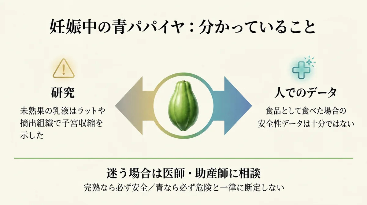 妊娠中の青パパイヤについて研究と人でのデータ不足を示した図