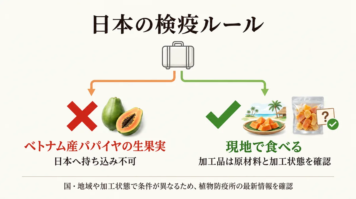 ベトナム産パパイヤ生果実の日本への持ち込み不可を示す図