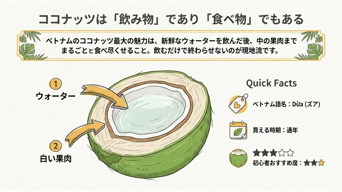 ココナッツは「飲み物」であり「食べ物」でもある:ウォーターと白い果肉、早見表