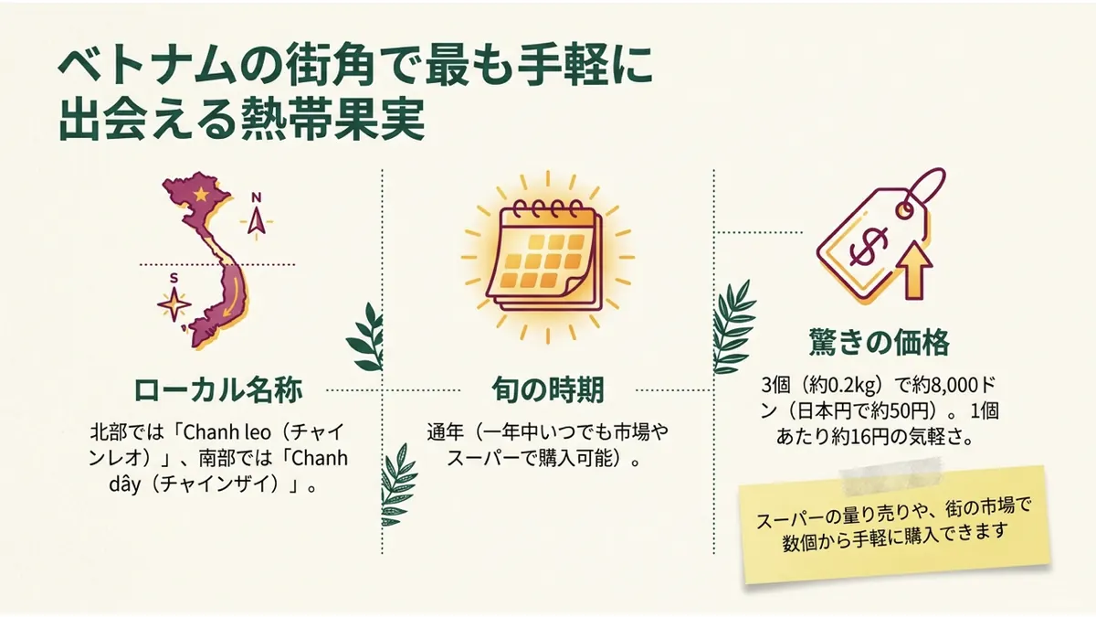 ベトナムの街角で最も手軽に出会える熱帯果実というインフォグラフィック。ローカル名称(北部Chanh leo・南部Chanh dây)、旬の時期(通年)、価格(3個・約0.2kgで約8,000ドン)をまとめている