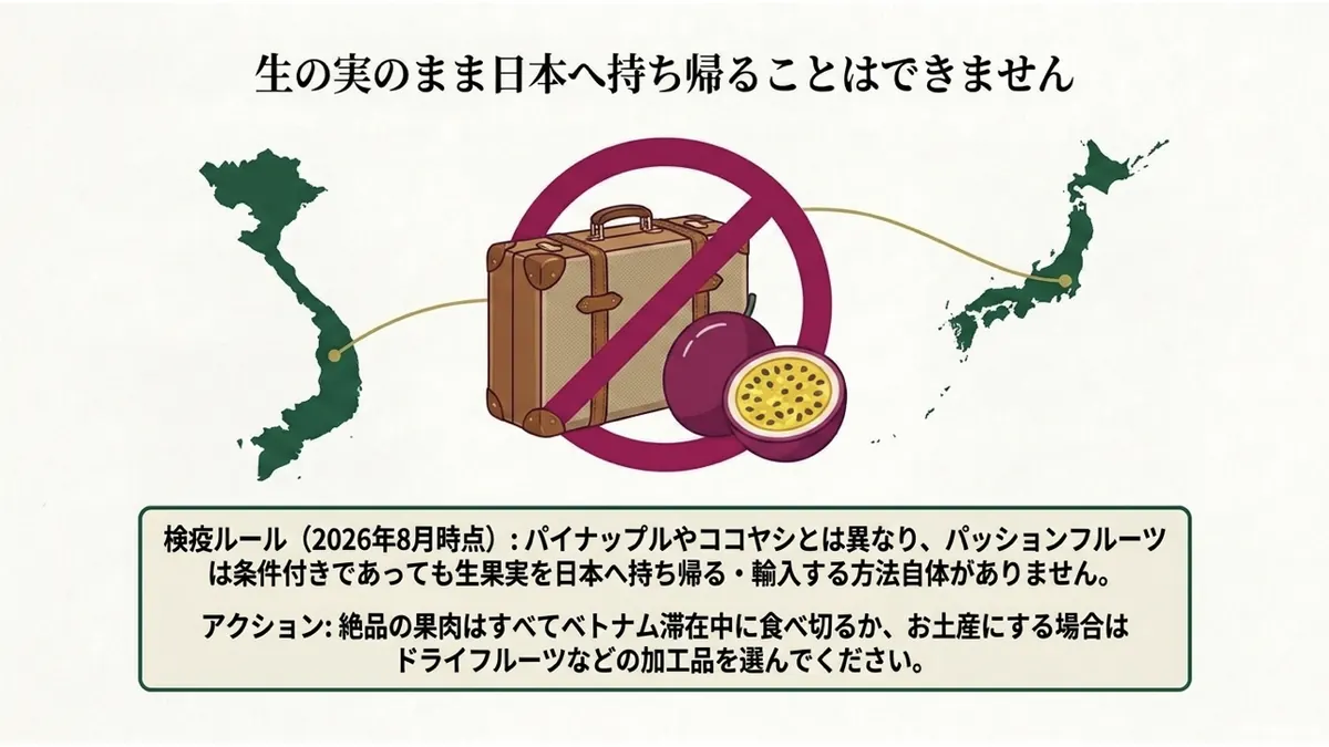 「生の実のまま日本へ持ち帰ることはできません」というメッセージ。ベトナムと日本を結ぶ線の途中でスーツケースが×印で塞がれているイラスト。パイナップルやココヤシとは異なり、パッションフルーツは条件付きであっても持ち帰る方法自体が無いという注記付き