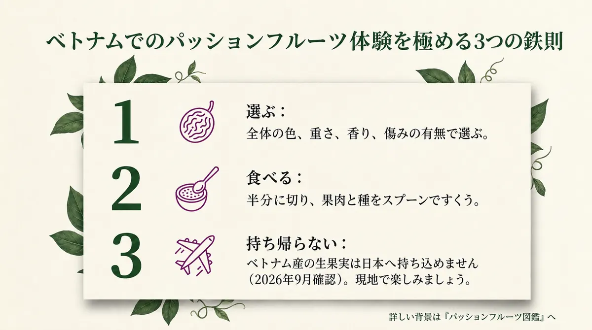 全体の色・重さ・香り・傷みで選び、半分に切って果肉と種をすくい、ベトナム産生果実は日本へ持ち込まず現地で楽しむという3つの鉄則
