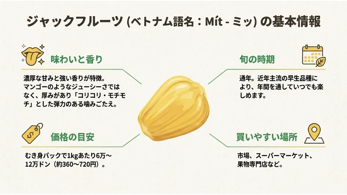 ジャックフルーツ(ベトナム語名:Mít-ミッ)の基本情報。味わいと香り(濃厚な甘みと強い香り、マンゴーのようなジューシーさではなく厚みがありコリコリ・モチモチとした弾力のある噛みごたえ)、旬の時期(通年。近年主流の早生品種により年間を通していつでも楽しめる)、価格の目安(むき身パックで1kgあたり6万〜12万ドン、約360〜720円)、買いやすい場所(市場、スーパーマーケット、果物専門店など)の4項目を示した図