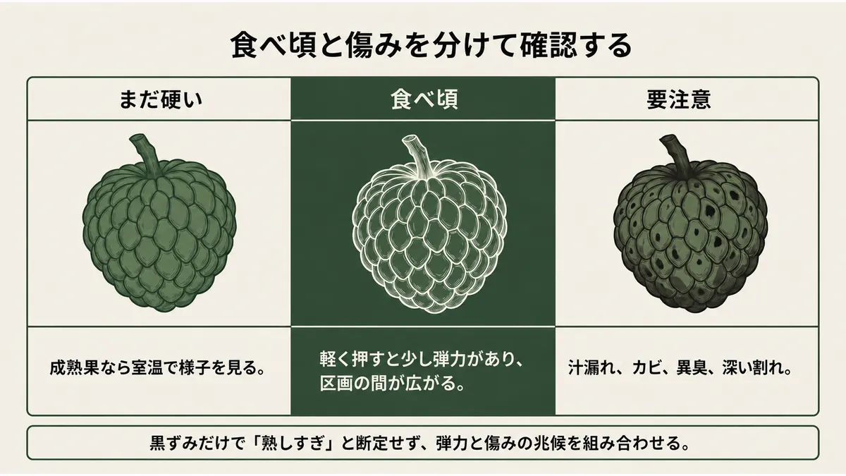 まだ硬い実、食べ頃の実、傷みがある実を分けて確認するカスタードアップルの熟度診断