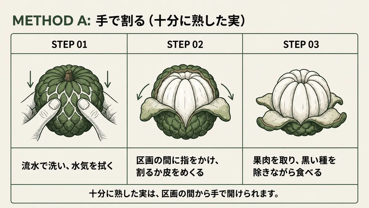 熟したカスタードアップルの皮を手でむく3ステップ