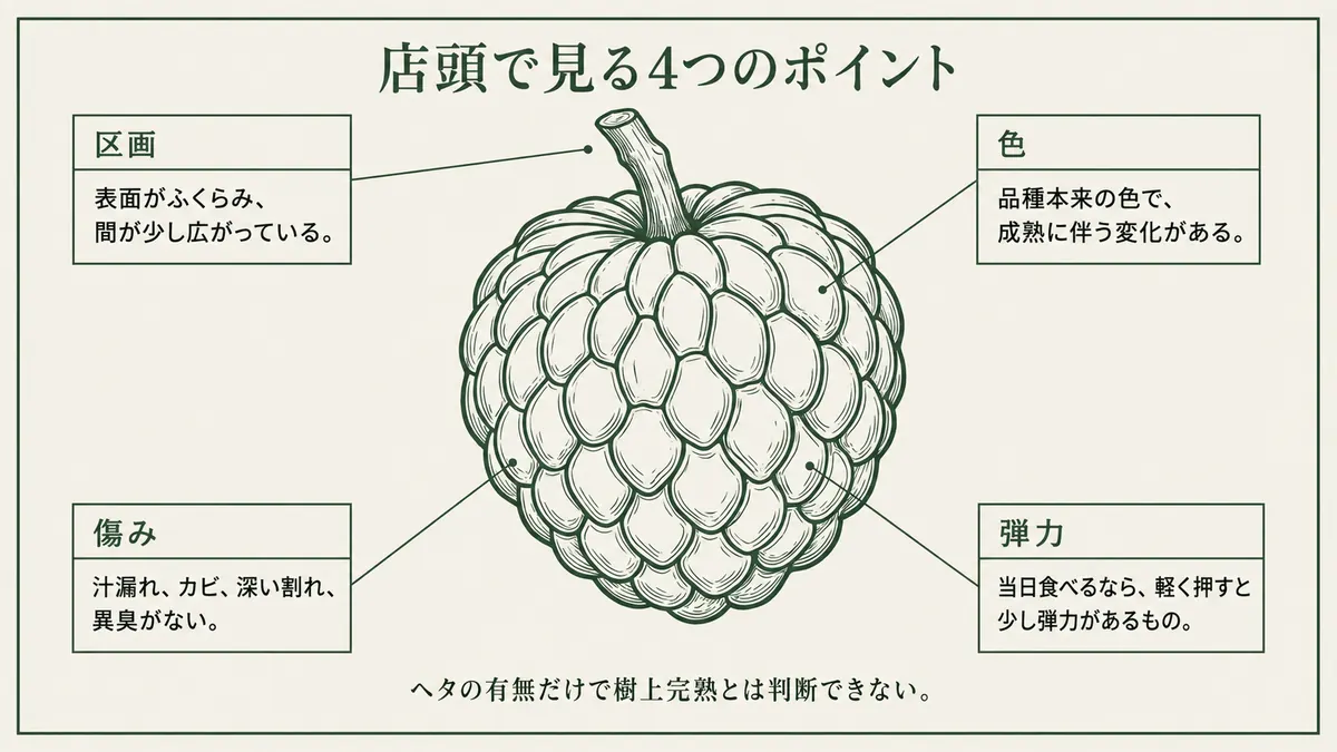 カスタードアップルを選ぶときに区画、色、傷み、弾力を確認する図
