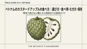ベトナムのカスタードアップルの食べ方を紹介するタイトル画像