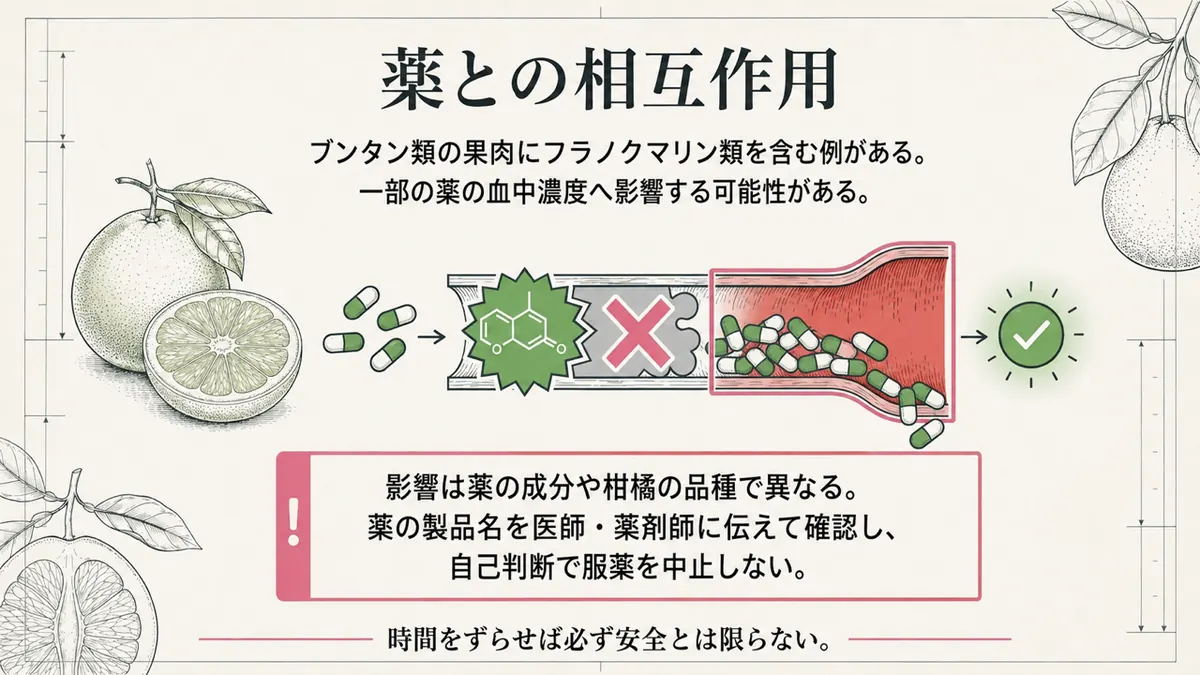 ザボンと薬の相互作用について医師や薬剤師へ確認する注意図