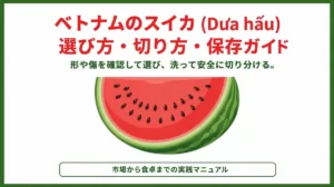 くし形に切られたスイカのイラストと「ベトナムのスイカ（Dưa hấu）食べ方ガイド」というタイトル