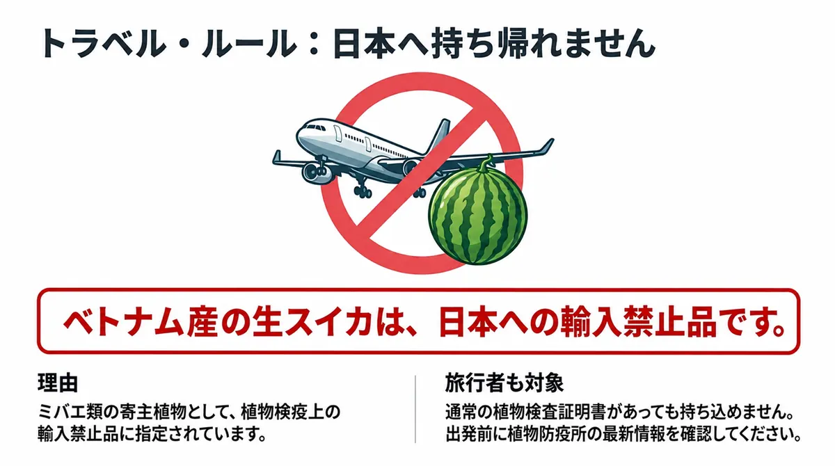 飛行機とスイカに禁止マークを重ね、ベトナム産の生のスイカは日本へ持ち込めないと案内する図