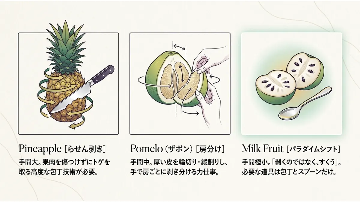 剥き方の比較。Pineapple[らせん剥き]:手間大。果肉を傷つけずにトゲを取る高度な包丁技術が必要。Pomelo(ザボン)[房分け]:手間中。厚い皮を輪切り・縦割りし、手で房ごとに剥き分ける力仕事。Milk Fruit[パラダイムシフト]:手間極小。「剥くのではなく、すくう」。必要な道具は包丁とスプーンだけ