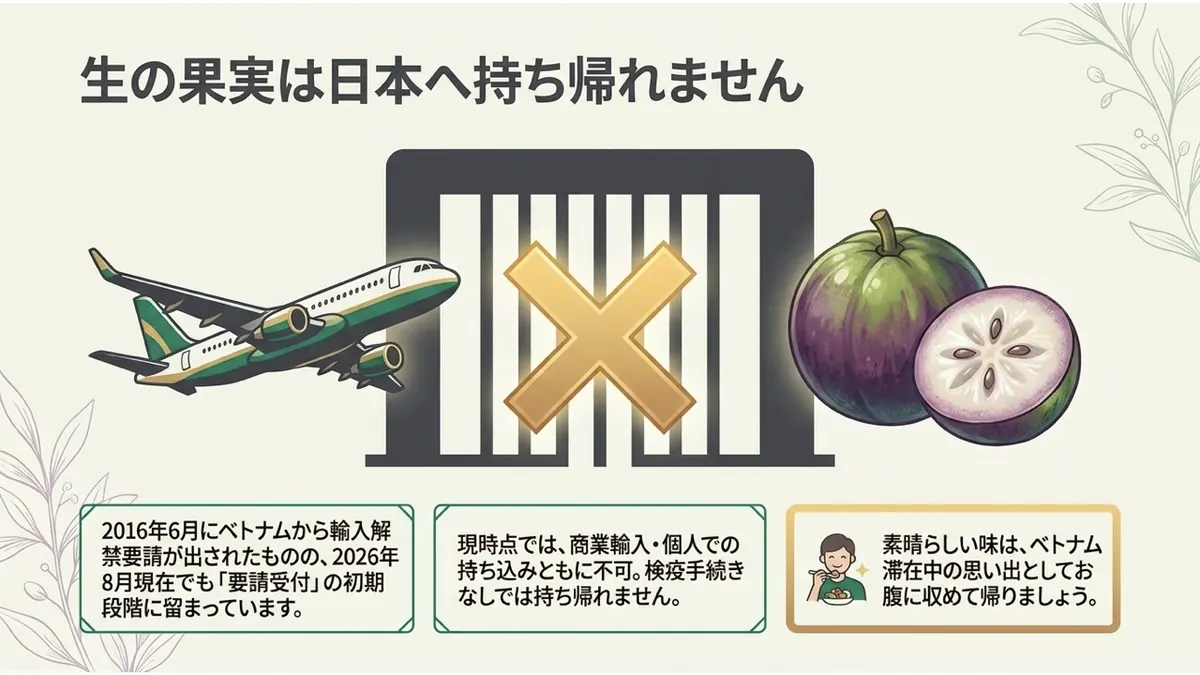 生の果実は日本へ持ち帰れません。2016年6月にベトナムから輸入解禁要請が出されたものの、2026年8月現在でも「要請受付」の初期段階に留まっています。現時点では、商業輸入・個人での持ち込みともに不可。検疫手続きなしでは持ち帰れません。素晴らしい味は、ベトナム滞在中の思い出としてお腹に収めて帰りましょう