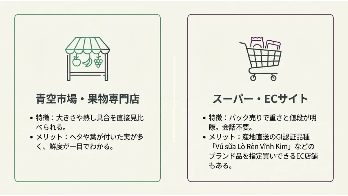 青空市場・果物専門店:大きさや熟し具合を直接見比べられる。ヘタや葉が付いた実が多く、鮮度が一目でわかる。スーパー・ECサイト:パック売りで重さと値段が明瞭、会話不要。産地直送のGI認証品種「Vú sữa Lò Rèn Vĩnh Kim」などのブランド品を指定買いできるEC店舗もある