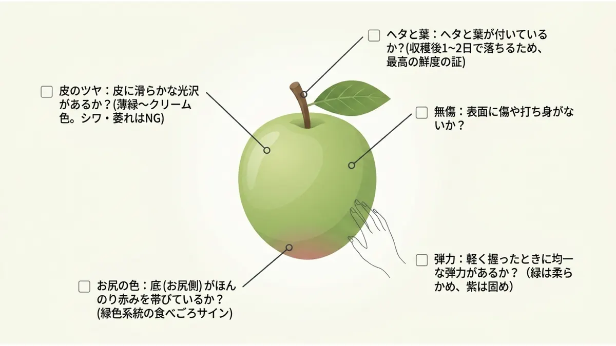 選び方チェックリスト。ヘタと葉:付いているか？(収穫後1〜2日で落ちるため、最高の鮮度の証)。無傷:表面に傷や打ち身がないか？。弾力:軽く握ったときに均一な弾力があるか？(緑は柔らかめ、紫は固め)。お尻の色:底がほんのり赤みを帯びているか？(緑色系統の食べごろサイン)。皮のツヤ:皮に滑らかな光沢があるか？(薄緑〜クリーム色。シワ・萎れはNG)