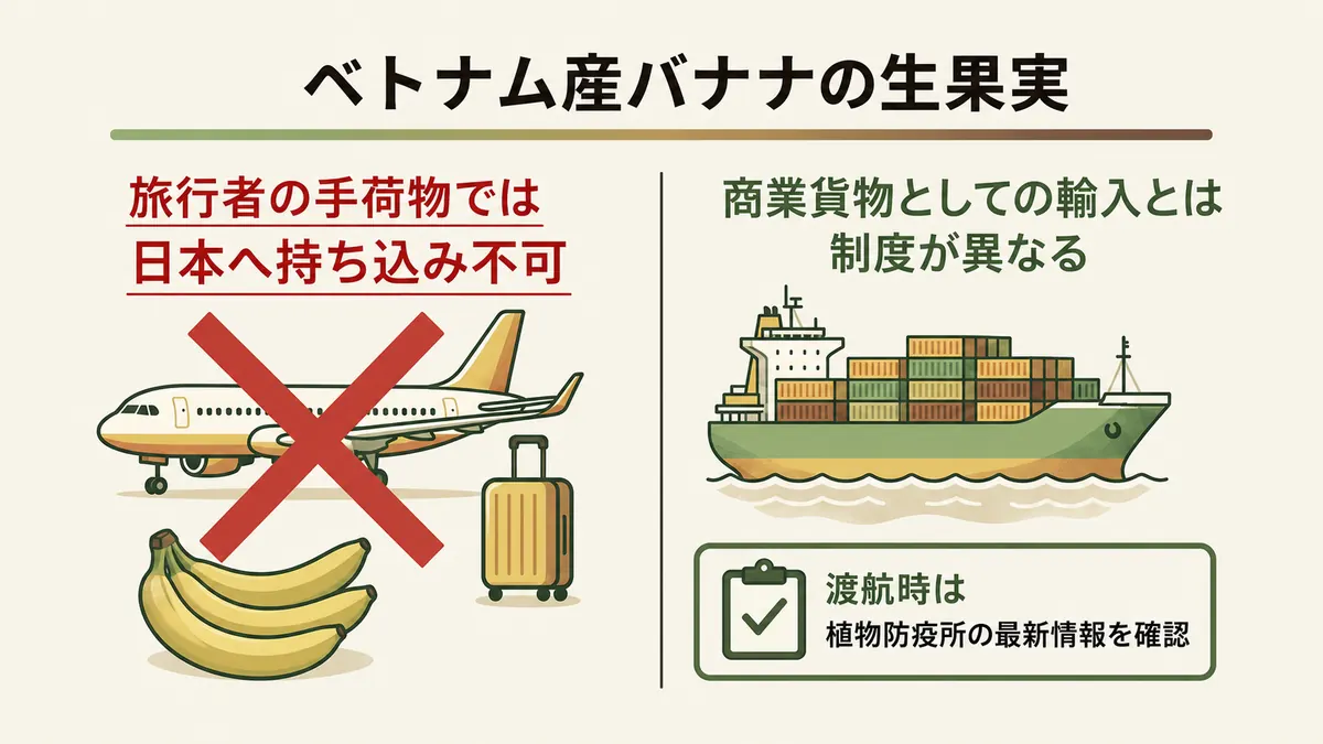 飛行機と手荷物のバナナに禁止マークを付け、旅行者の手荷物では日本へ持ち込めない一方、商業貨物の輸入とは制度が異なると示した図