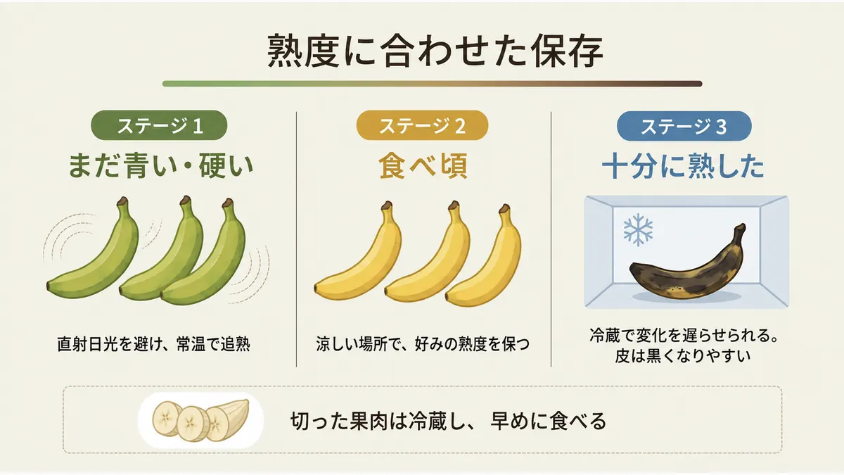 青く硬い段階、食べ頃、十分に熟した段階に分け、常温、涼しい場所、冷蔵を使い分ける保存方法を示した図