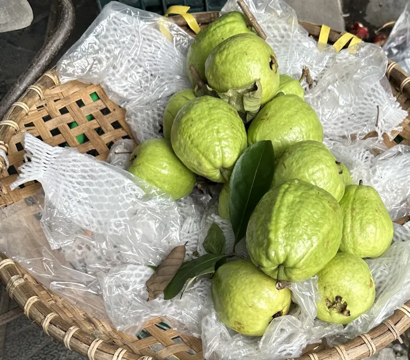 青空市場のかごに並ぶグアバ