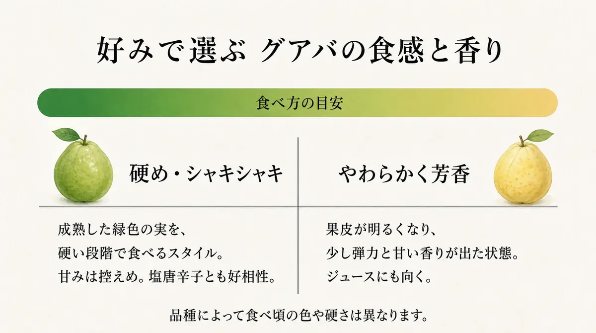 硬くシャキシャキしたグアバと、やわらかく甘い香りのグアバを比べた図