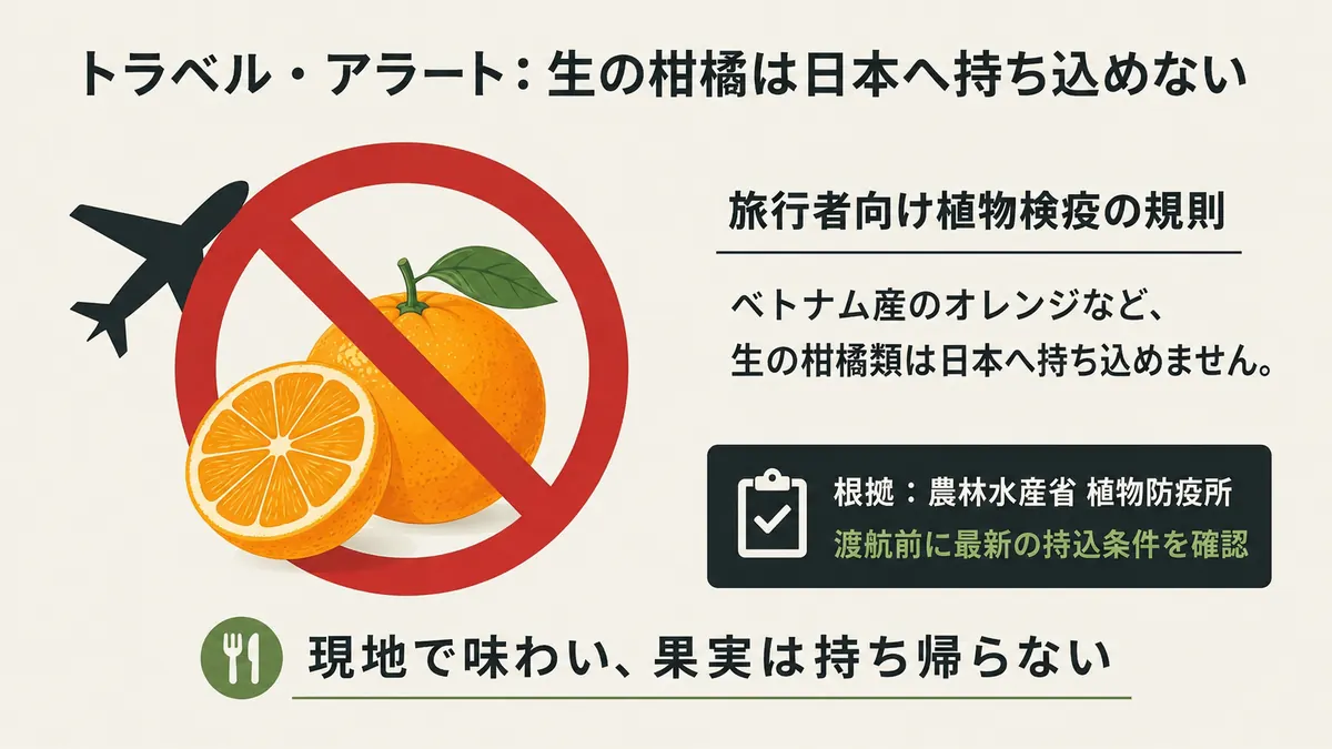 飛行機と生の柑橘に禁止マークを重ね、ベトナム産の生の柑橘類は旅行者が日本へ持ち込めないと示した図