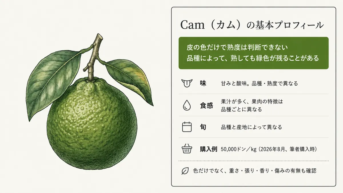 緑色のcamのイラストとともに、味、食感、旬、2026年8月の購入例、皮の色だけで熟度を判断しない注意を示した基本プロフィール