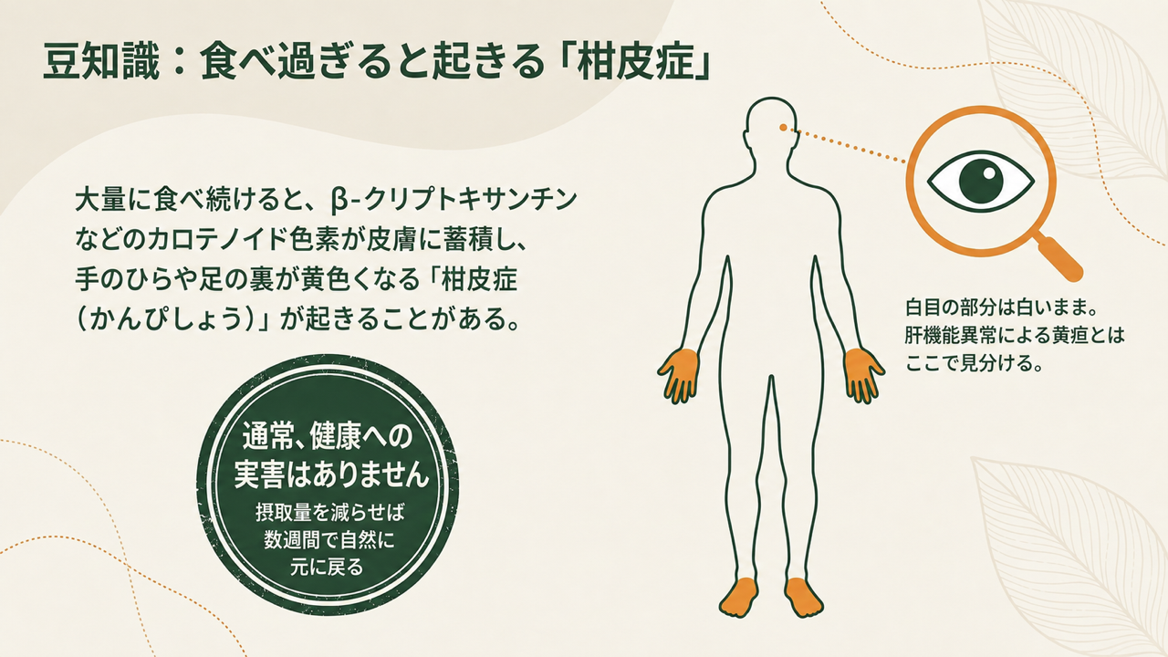 人体のシルエットで手のひらと足の裏が黄色くなる様子と、白目は白いままである点を示し、「通常、健康への実害はありません。摂取量を減らせば数週間で自然に元に戻る」と添えた「豆知識:食べ過ぎると起きる『柑皮症』」の図