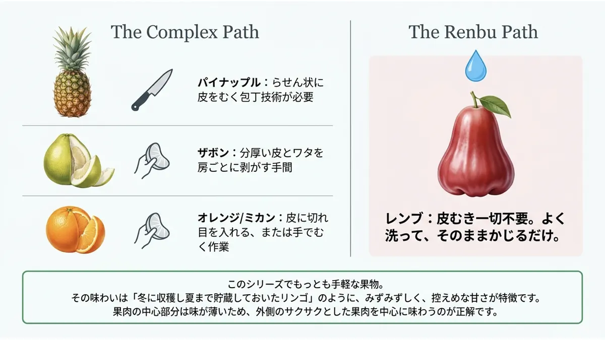 パイナップル(らせん状に皮をむく包丁技術が必要)・ザボン(分厚い皮とワタを房ごとに剥がす手間)・オレンジ/ミカン(皮に切れ目を入れる、または手でむく作業)を「The Complex Path」として並べ、レンブは「The Renbu Path」として洗うだけで皮むき一切不要と対比した図。「このシリーズでもっとも手軽な果物。その味わいは「冬に収穫し夏まで貯蔵しておいたリンゴ」のように、みずみずしく、控えめな甘さが特徴です。」と記す