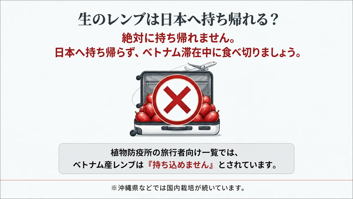 スーツケースに詰められたレンブの実に「持ち込み禁止」のバツ印を重ねた図。植物防疫所の旅行者向け一覧ではベトナム産レンブは日本へ持ち込めないこと、日本国内では沖縄県などで栽培されていることを記す