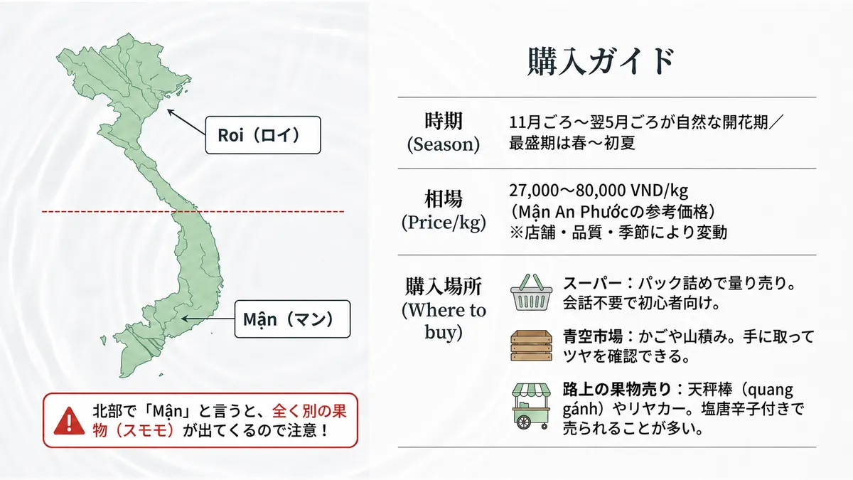 ベトナム地図の上に北部Roi・南部Mậnの産地を示し、右側に購入ガイドとして時期(11月ごろ〜翌5月ごろが自然な開花期、最盛期は春〜初夏)、相場(南部品種Mận An Phướcは1kgあたり27,000〜80,000ドンの参考価格)、購入場所(スーパー・青空市場・路上の果物売り)を一覧にした図。「北部で「Mận」と言うと、全く別の果物(スモモ)が出てくるので注意!」という警告を添える