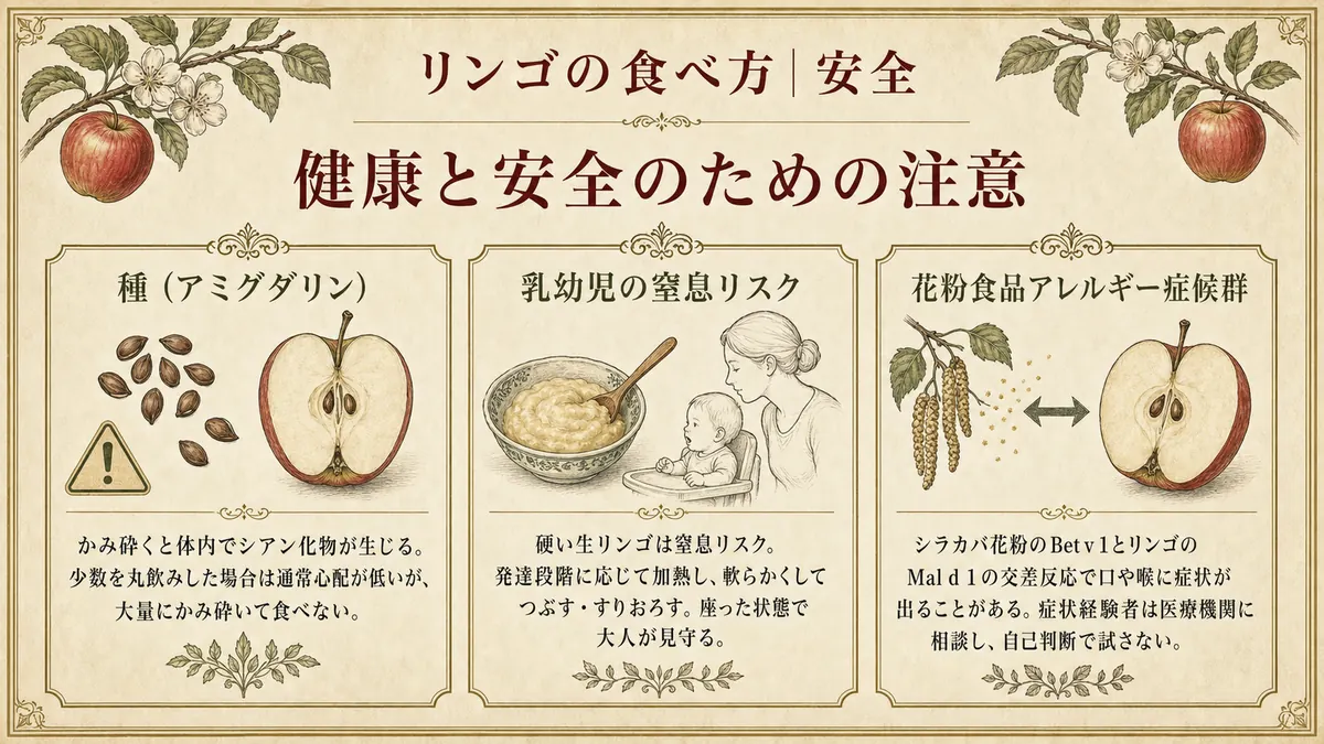 リンゴを食べる際の注意点3つ。種・窒息リスク・花粉アレルギー