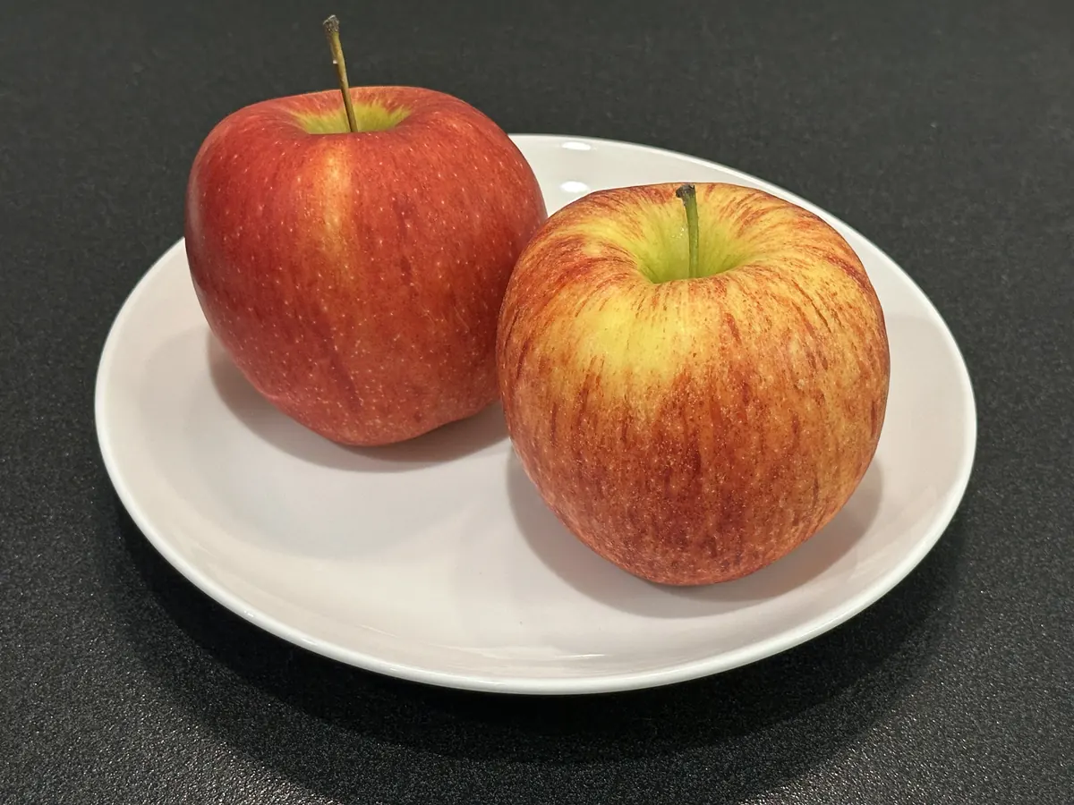 購入したリンゴ2個を皿に置いた実物写真