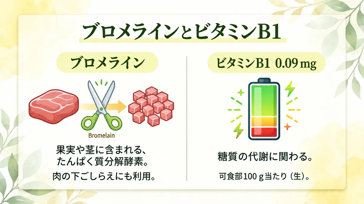 ブロメラインとビタミンB1の特徴を示した図