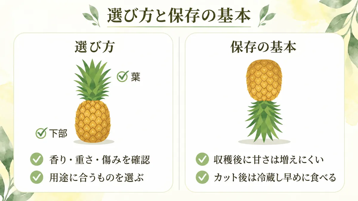 パイナップルの選び方と保存の基本
