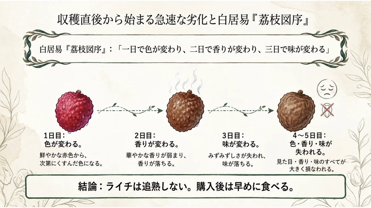 白居易の荔枝図序に記された、収穫後の色・香り・味の変化